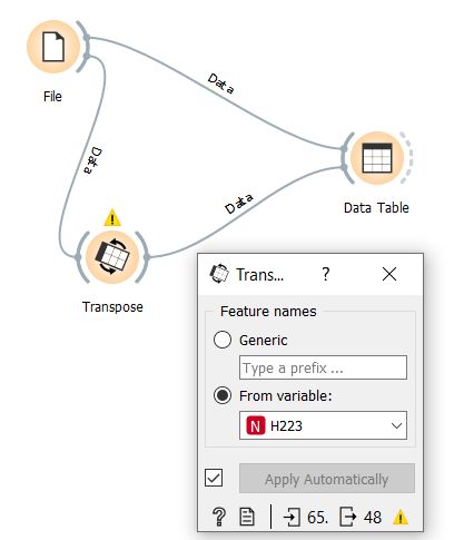 Orange Import Dataset Which Has The Feature On Rows And Instances On - Professional Colorful Illustration - 8K