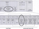 Networking Difference Between The Source Mac Address In An Arp