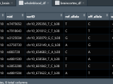 Dataframe How To Create A Matrix For Specific Elements In R And Keep