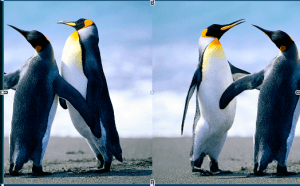 c# layered window with blur effect Stack Overflow