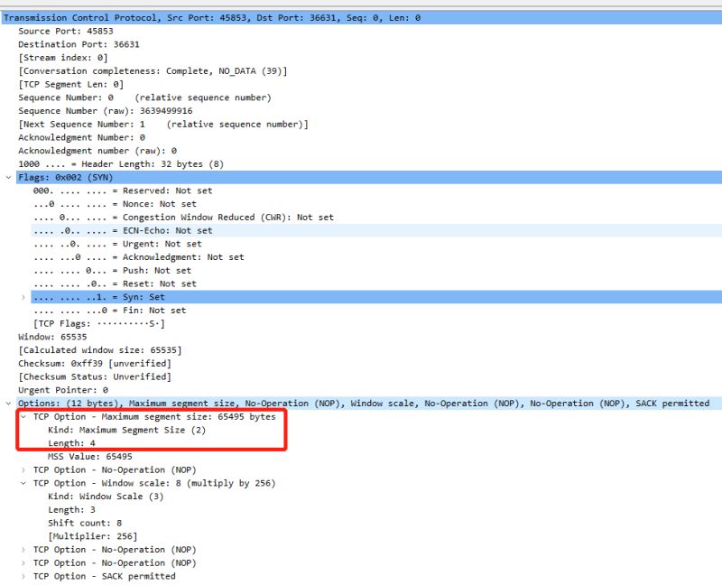 Windows 65535 - Premium Minimal Photo - Retina
