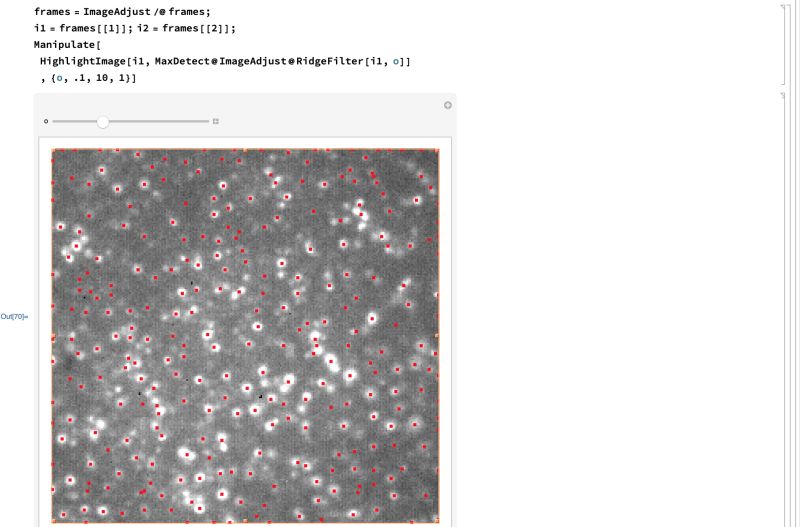 Image Processing Tracking Cells As They Move Under A Microscope - Best Gradient Textures in HD