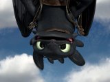 How To Train Your Dragon Why Was Toothless Toothless Science
