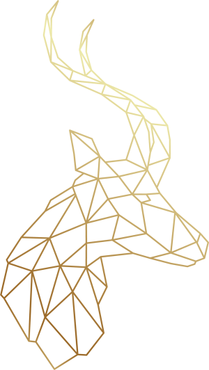 illustrator adobe shapes geometric pen gradient tool drawn apply lion idea