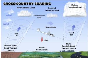cross country thermal convection soaring current gliders why currents lift seagulls sailplanes circle wave wind birds flying applications ridge examples