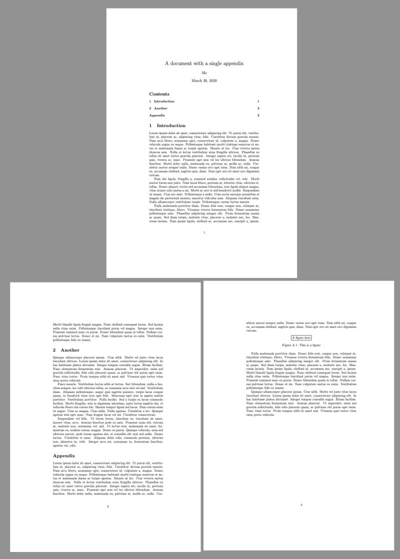 Sectioning Appendices Inside A Section Tex Latex Stack Exchange - Premium Geometric Illustration Gallery - Ultra HD