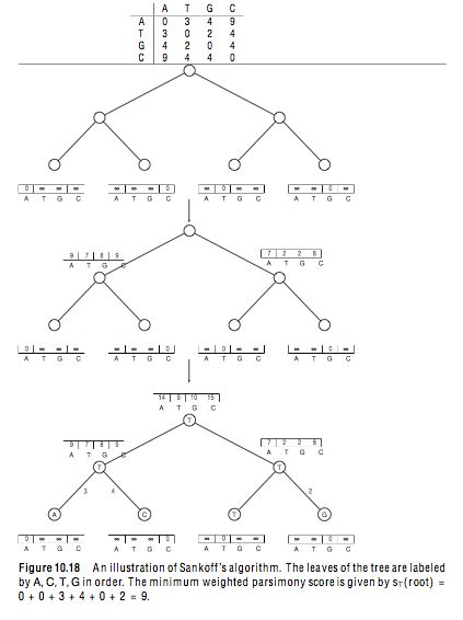 Pdf Treewidth Based Algorithms For The Small Parsimony Problem On - Download Ultra HD Nature Design | 4K