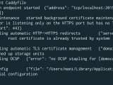 Httpserver Caddy Setting Https To Localhost On Mac Stack Overflow