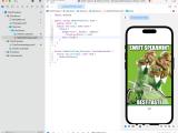 Swiftui Main Bundle Assets In Swift Package Previews Stack Overflow