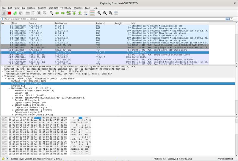 Tls Why Is Tls1 2 Wrapped In Tls1 3 Information Security Stack - Modern Nature Illustration - 4K