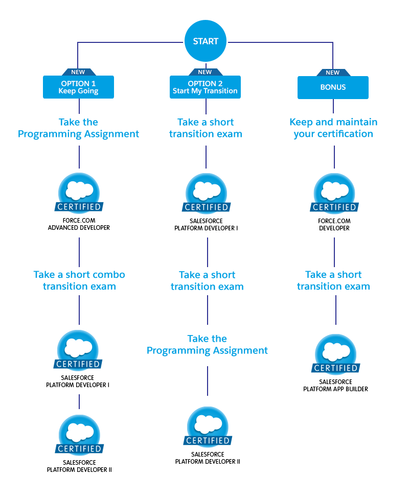 Salesforce Admin Developer Certification Crm Training - Elegant Nature Photo - HD