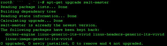 Ubuntu Unable To Upgrade Saltstack Stack Overflow - Retina Landscape Backgrounds for Desktop