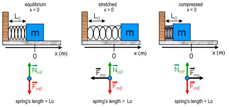 Free Body Diagram Spring Force - Best Geometric Patterns in High Resolution