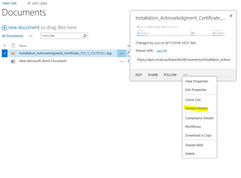 Sharepoint Online To View Version History Along With Documents - Professional Sunset Picture - Retina