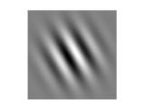 Image Processing Difference Between Gabor Filter And Gabor Transform
