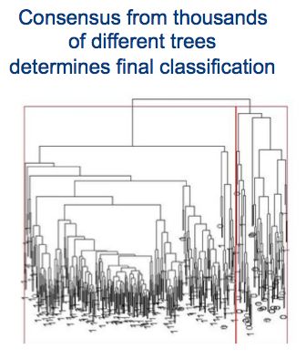 Prediction Intervals For Random Forests Diving Into Data - Gradient Background Collection - Full HD Quality