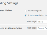 Solution Wordpress Reading Settings All4wordpress