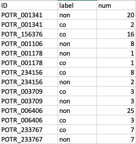 R Create New Column Based On Replicate Observation Stack Overflow - Professional Geometric Design - High Resolution