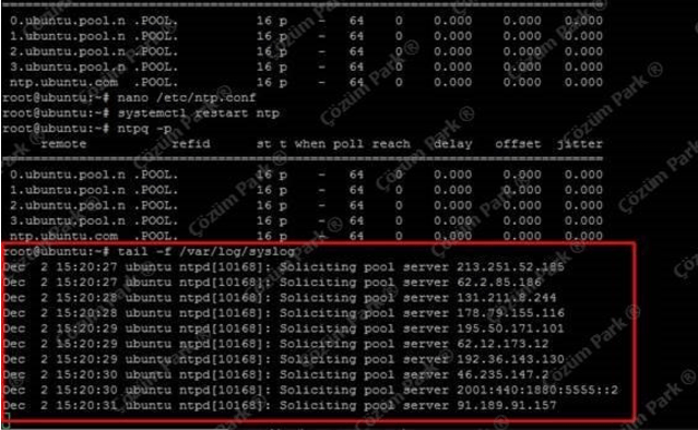Trainer Canyon Hey Monster Monster Park Walkthrough Part 27 Tam Cozum 27 2020