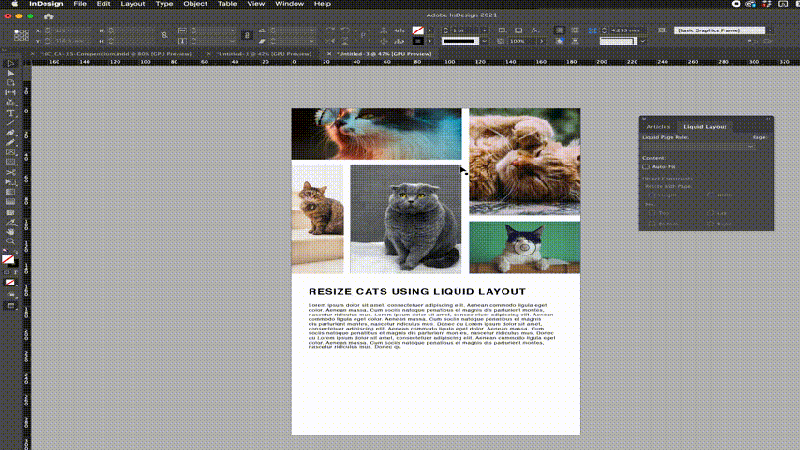 Adobe Indesign Multi Versioned Document Graphic Design Stack Exchange - Incredible Full HD Colorful Images | Free Download