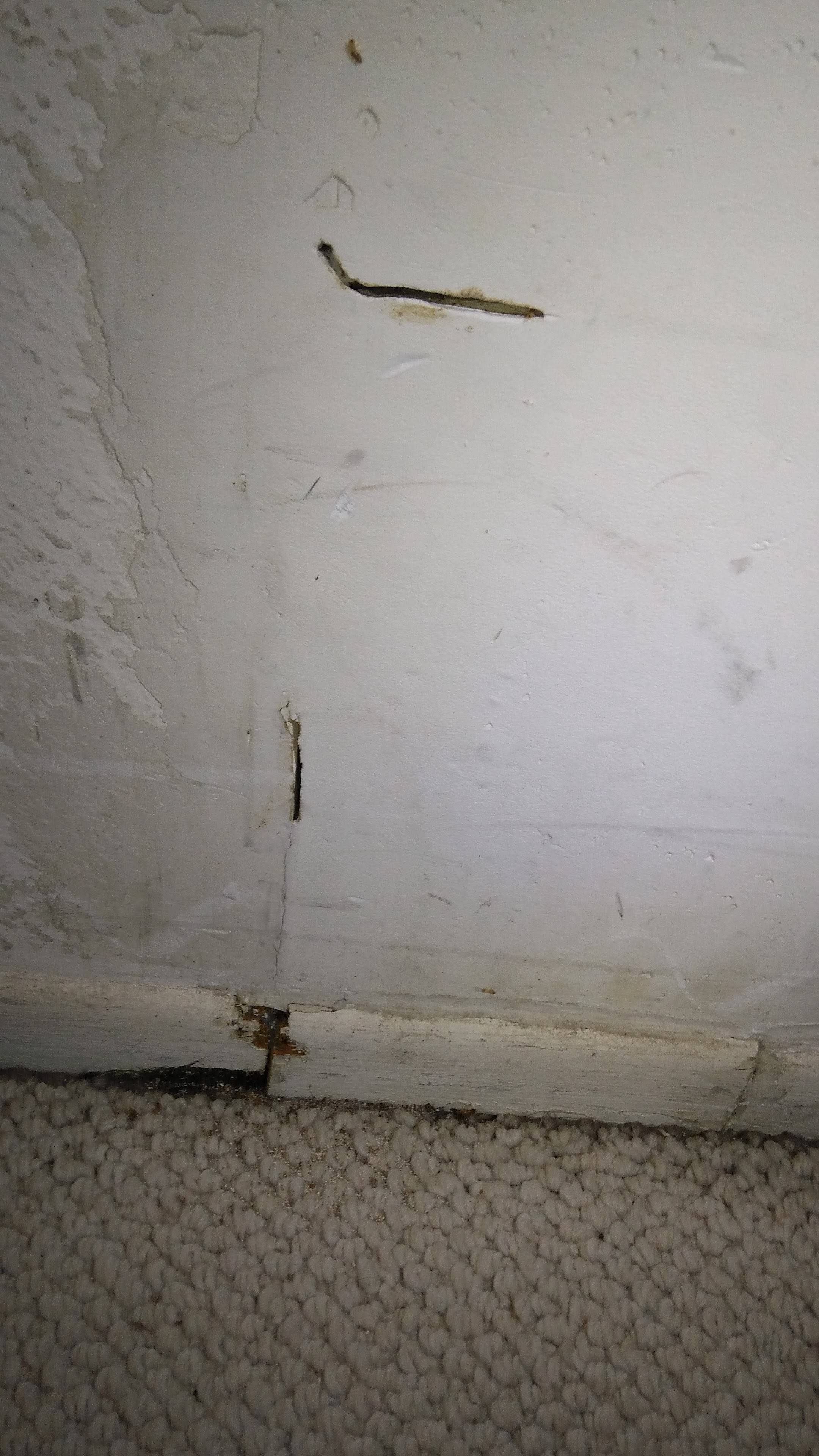 This is a easy to make project, to make it: pest - What is eating my drywall? - Home Improvement Stack