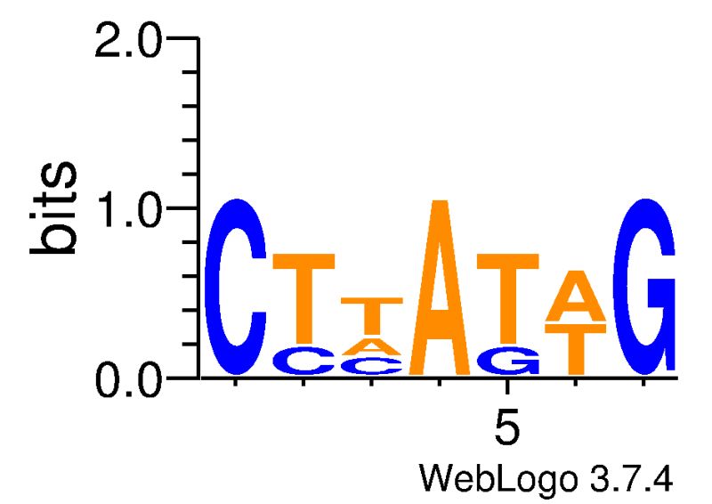 Samtools Bioinformatics Guidance Page - Colorful Art Collection - 4K Quality