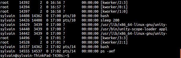 How To Close Terminal Without Killing Process - City Background Collection - High Resolution Quality