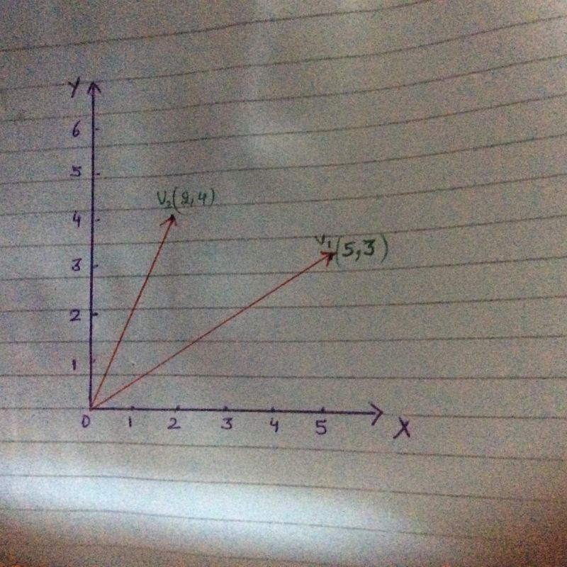 Economics Stack Exchange - Minimal Illustrations - Elegant Retina Collection