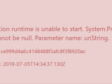 Asp Net Value Cannot Be Null Parameter Name Uristring Stack Overflow
