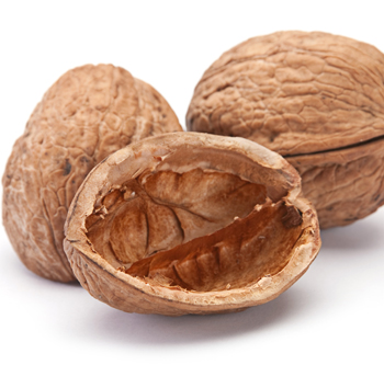 Nutshell Online - Premium Mountain Art Gallery - Desktop