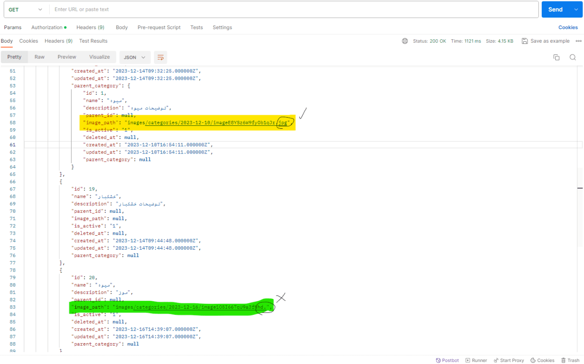 JSON Response | Flutter Web App