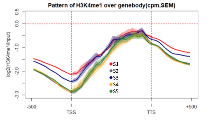 Bioconductor Input Normalization In Chip Seq Bioinformatics Stack - Download Stunning Dark Art | Mobile