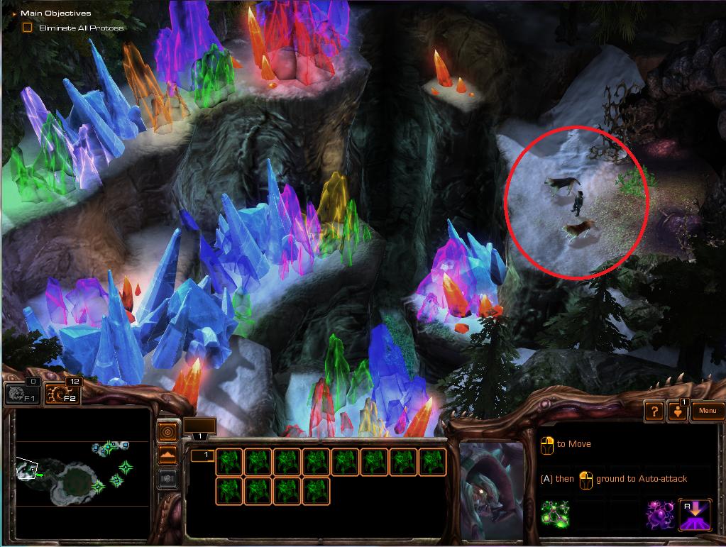 Maye, avec deux chiens, diamant et onyx, contemplant des minerais aux. starcraft-2 | En la evoluciÃ³n de roach misiÃ³n Â¿quÃ© hacer