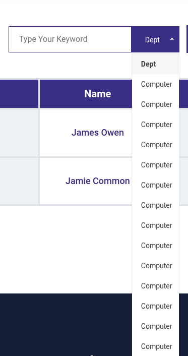jQuery Nice Select Error Example