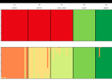 Ggplot2 Genetic Structure Plot In R Wrapping Function Stack Overflow