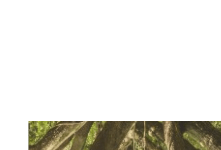 Javascript Positioning Rotated Image On Canvas Stack Overflow - Premium Space Wallpaper Gallery - Desktop