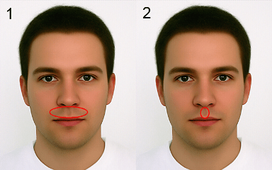 The philtrum is the vertical groove between the nose and upper lip. What Is The Name Of The Area Of Skin Between The Nose And The Upper Lip Mouth English Language Usage Stack Exchange