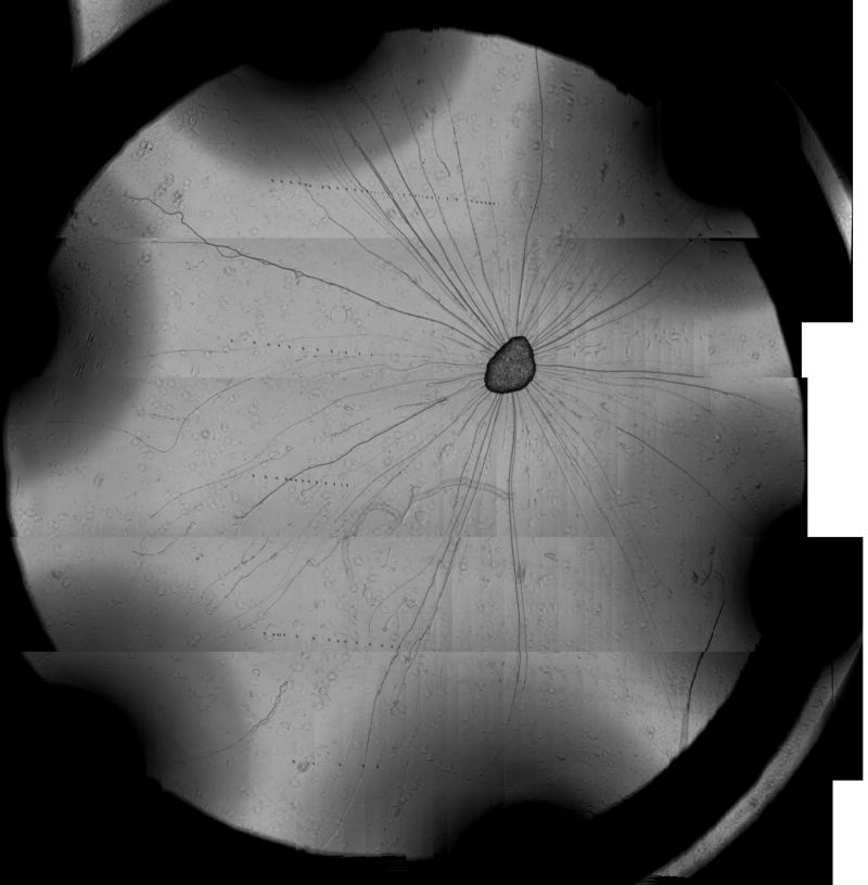 A Python Package To Stitch Multiple Images Image Stitching - Best Mountain Backgrounds in 4K