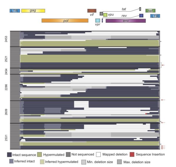 R Plotting Coordinates For Sequence Alignment Stack Overflow - Retina Colorful Images for Desktop