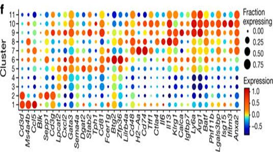 R About Dotplot Legend Meaning Bioinformatics Stack Exchange - Premium City Design Gallery - 8K