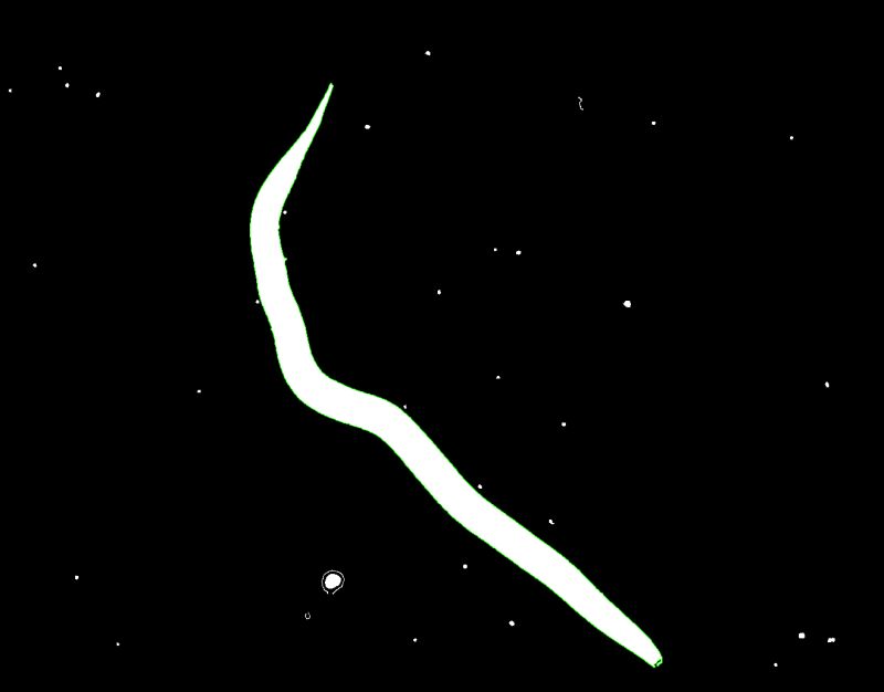 Python Draw A Center Curve In A Curved Object Using Cv2 Stack Overflow - Best Minimal Illustrations in HD