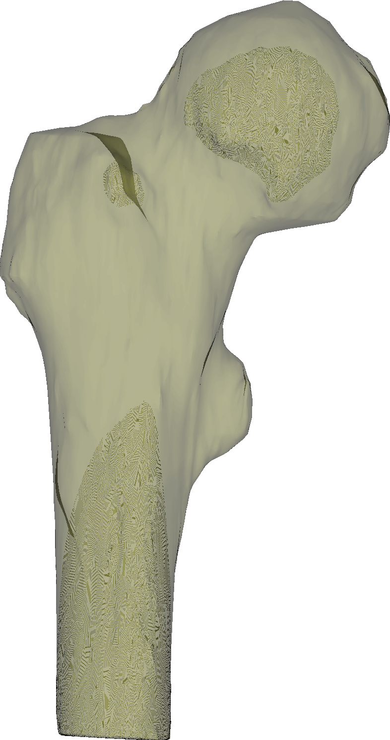 Activiz Release Native Rendering Controls For Various Ui Frameworks - Ocean Pictures - Professional High Resolution Collection