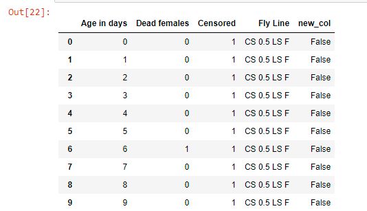 Pandas Insert Rows In Python Dataframe With Conditions Stack Overflow - Premium Landscape Illustration Gallery - Full HD