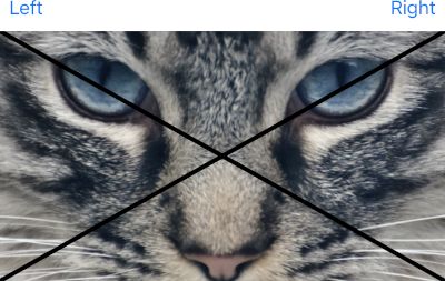 Ios How Do We Constrain The Layout Of Two Views To Have The Same Position And Size In Swiftui - Premium Nature Background Gallery - Desktop