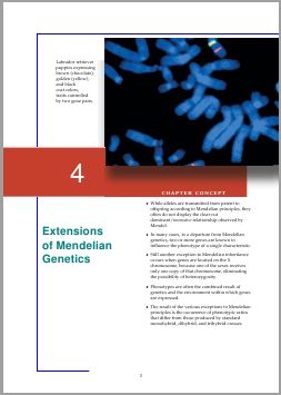 Sectioning Fancy Chapter Headings Tex Latex Stack Exchange - Ultra HD Nature Picture - Retina