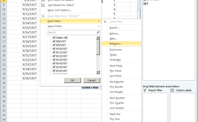 select-dynamic-date-range-in-pivot-table-filter-exel-pivot-table
