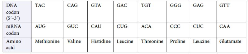 Dna Codon Table Cabinets Matttroy - Minimal Arts - Premium Desktop Collection