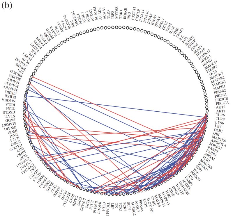 Nodes Interactive Plot In R Part Scatterplot Part Network Stack - Geometric Illustrations - Artistic Ultra HD Collection