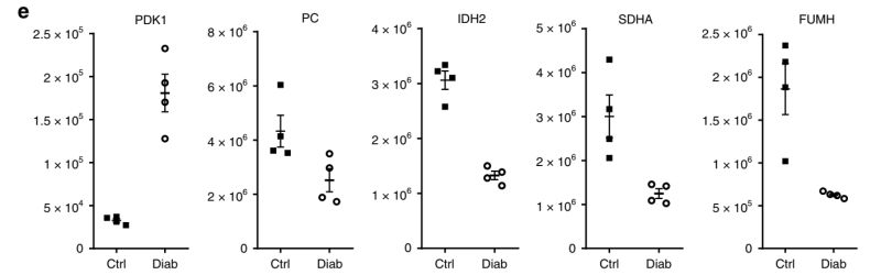 Proteins Setting Up Maxquant Parameters For Processing Proteomics - Full HD Gradient Photos for Desktop