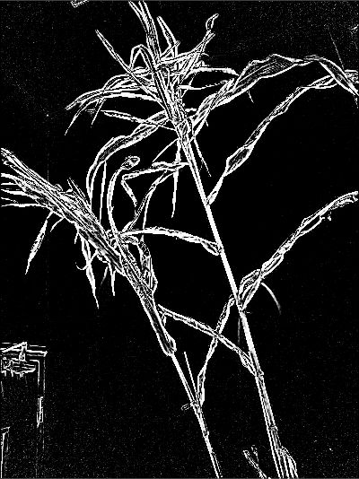 Matlab Frangi Filter Enhanced Unwanted Objects Stack Overflow - Space Illustrations - Classic HD Collection